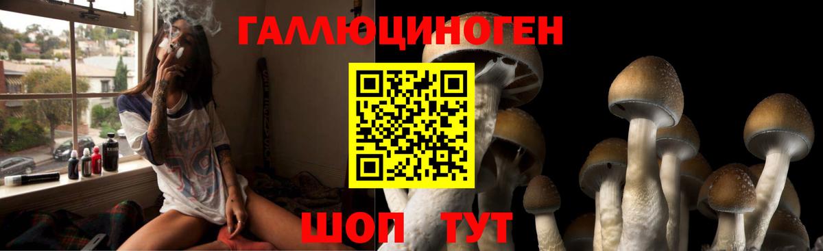Псилоцибиновые грибы мицелий  Вход с VPN  Псилоцибиновые грибы мицелий  Каменск-Уральский 